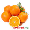 【香甜多汁】正宗江西赣南脐橙 礼盒装  约4.5斤/箱   1箱 商品缩略图4