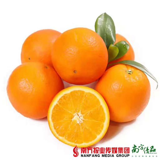 【香甜多汁】正宗江西赣南脐橙 礼盒装  约4.5斤/箱   1箱 商品图4