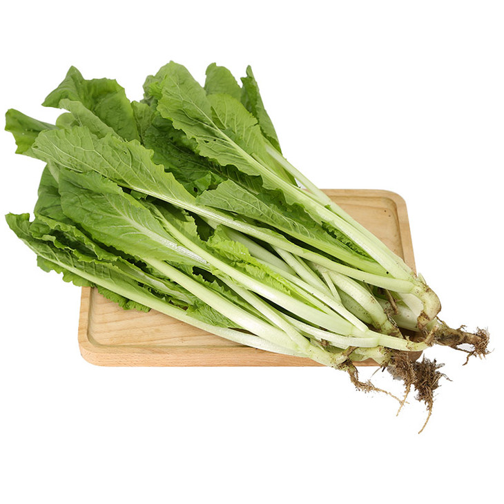 新鲜有机小白菜 一斤 (蔬菜)