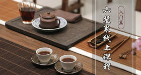 线上课程（入门篇）