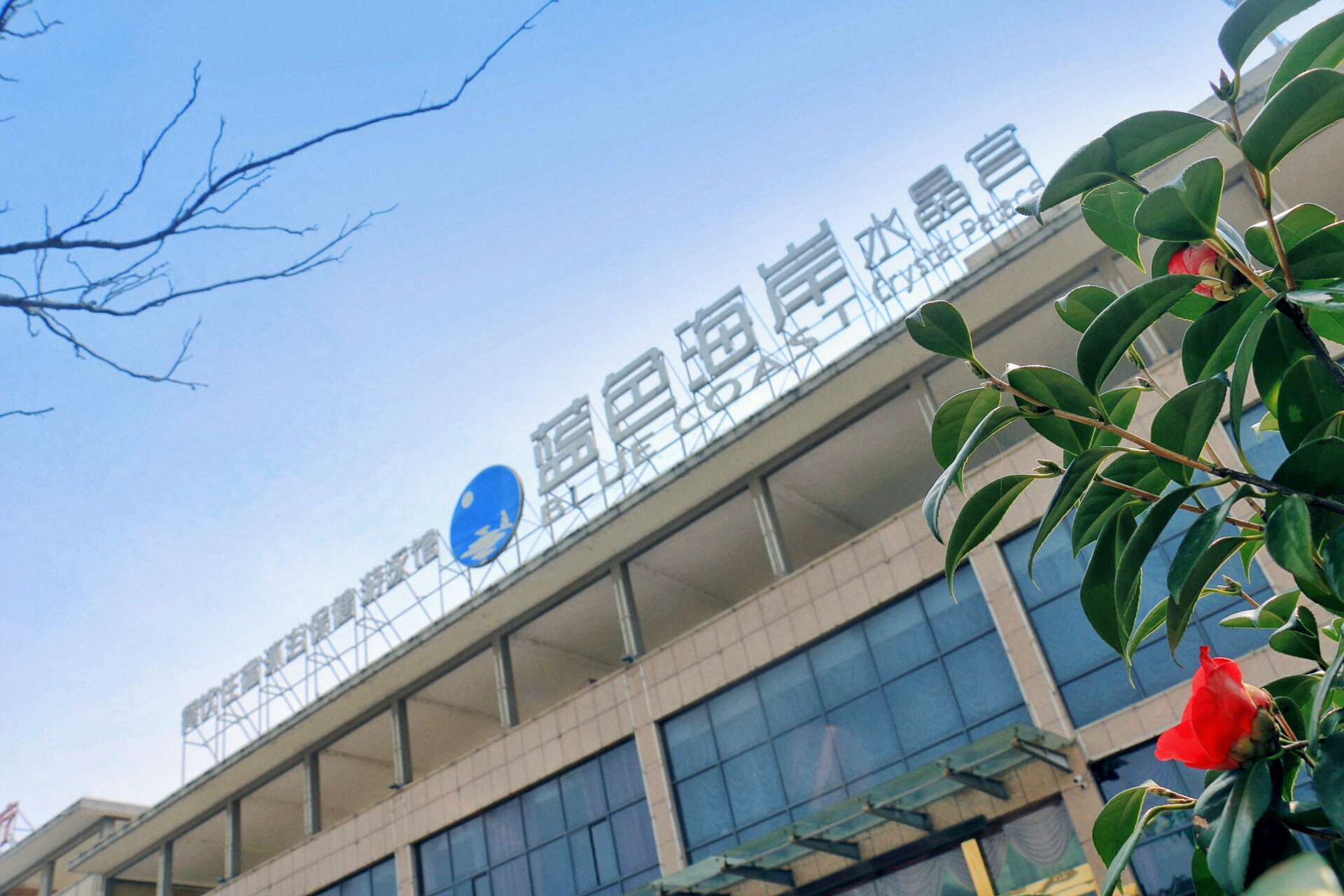 【蓝色海岸水晶宫】限量40元/人,可享受自助餐 洗浴 台球 观影.