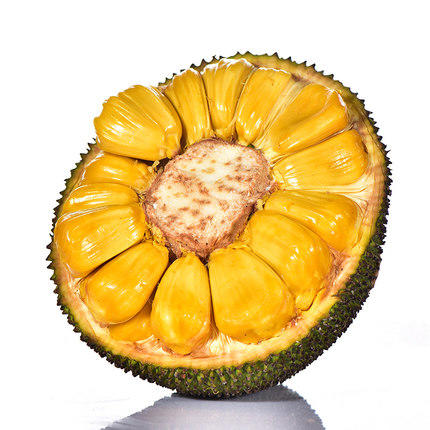 海南菠萝蜜肉 300g/份 香味浓郁 Q弹爽脆 商品图2