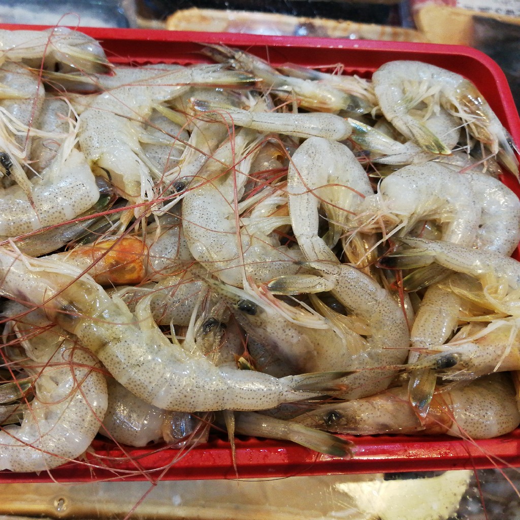 野生海捕白条虾(白灼,剥虾仁),数量有限,特惠价!