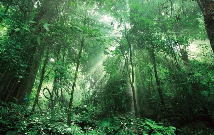 北回归线丨从元阳梯田到西双版纳热带雨林和神秘傣寨的梦幻穿越 八日