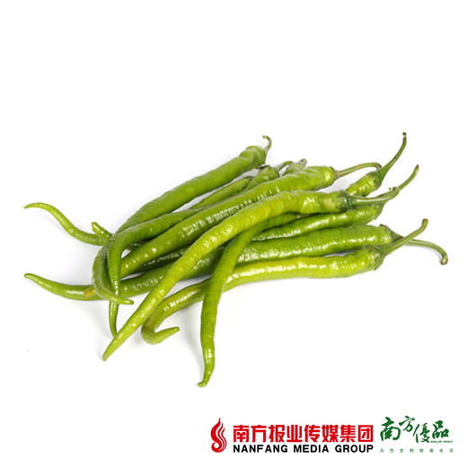 【火辣口感】四季绿 线椒 约350g/份 商品图1