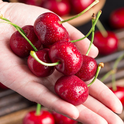 车厘子（瑞吉娜3JD） 商品图1