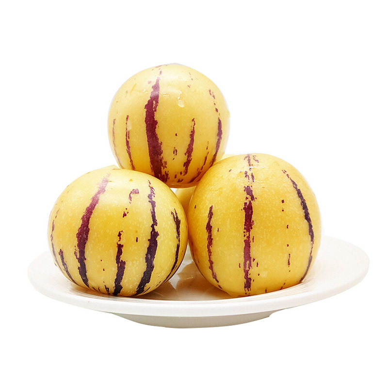 海南人参果5斤装丨巴掌大的"哈密瓜",软糯清甜,饱满多汁