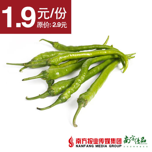 【火辣口感】四季绿 线椒 约350g/份 商品图0