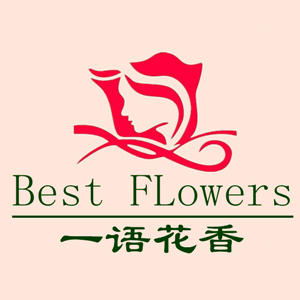 一语花香鲜花200511