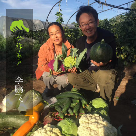 生态羊粪土豆 | 合作生产* Eco- potato | Coproduction 商品图1