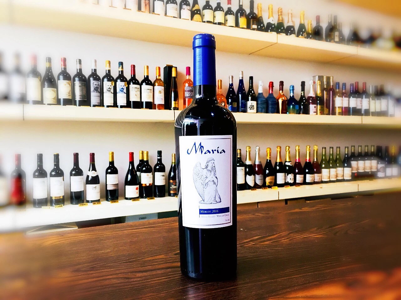 智利女神梅洛干红葡萄酒