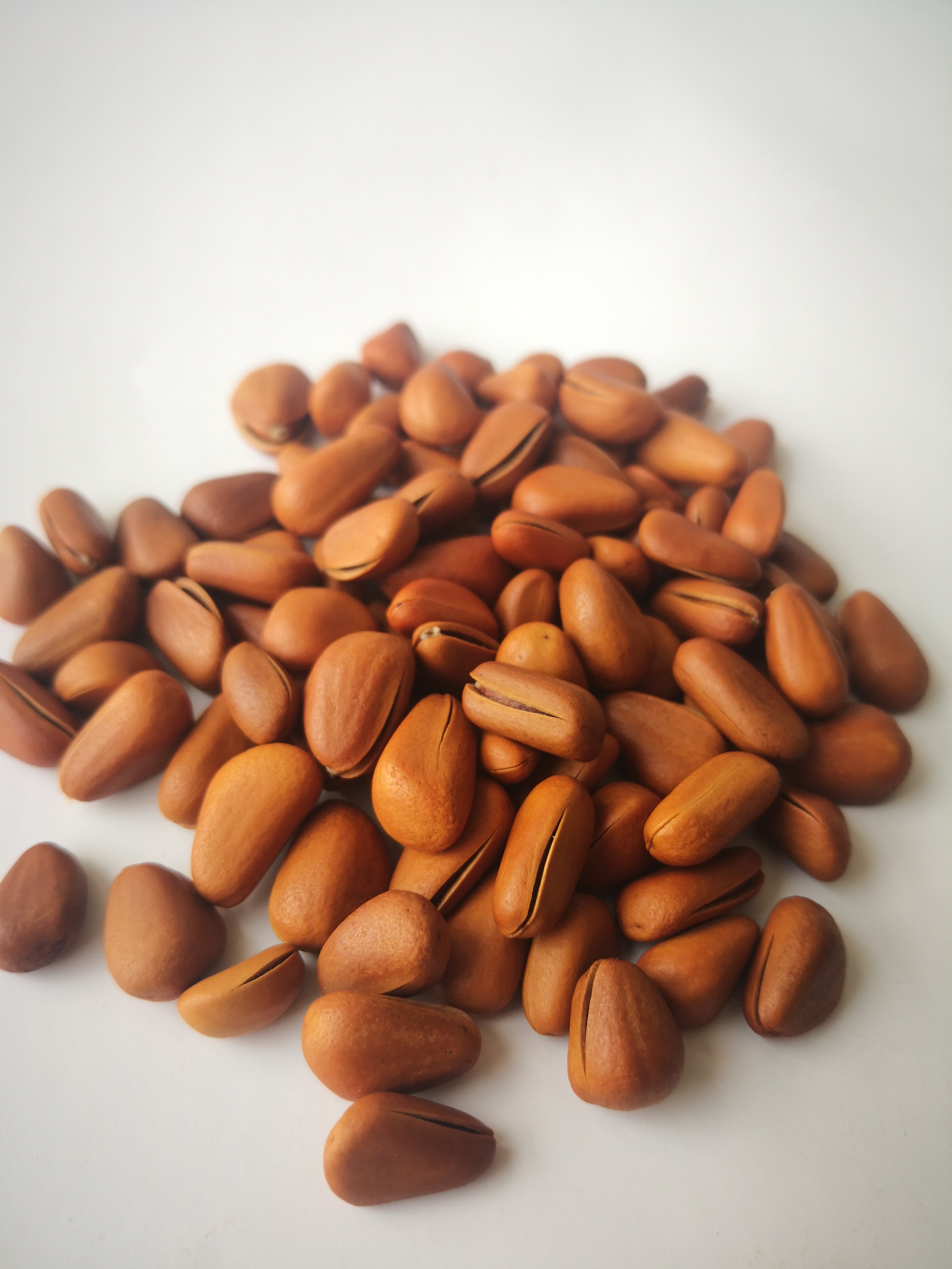 精品松子 水晶盒装 甄选坚果 茶点知道