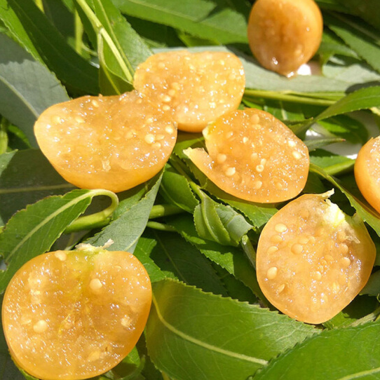 姑娘果一份约500g 香甜多汁