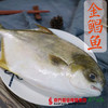 【18号提货】野生海鱼 （已除内脏，开封即煮） 商品缩略图2