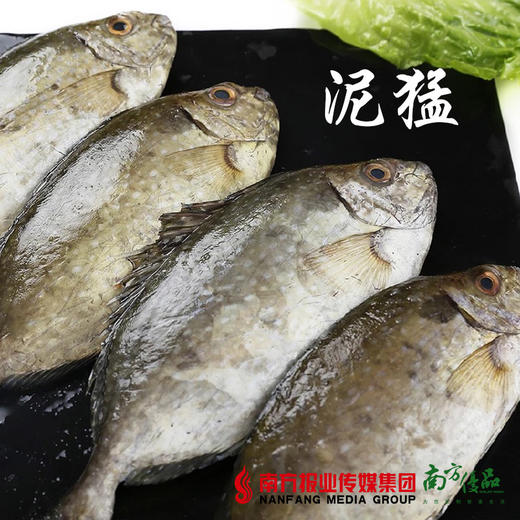 【18号提货】野生海鱼 （已除内脏，开封即煮） 商品图3