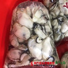 【10号提货】海上补品 饶平大蚝花  蚝肉  约2斤 商品缩略图1