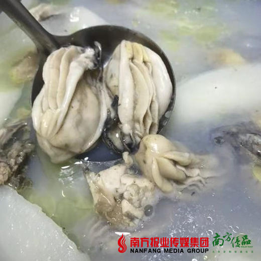 【10号提货】海上补品 饶平大蚝花  蚝肉  约2斤 商品图2