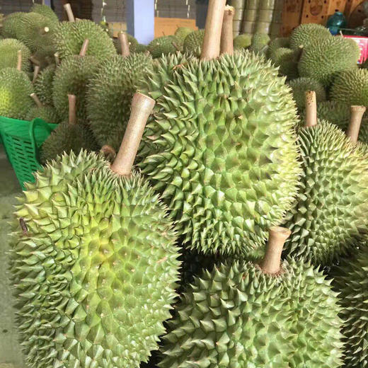 泰国"野"山猫榴莲 新鲜带壳水果 软糯香甜肉质细腻3-4斤包邮