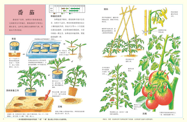 【能力卡可用】亲子蔬菜种植(东方瓜果城),爱劳动的小农夫