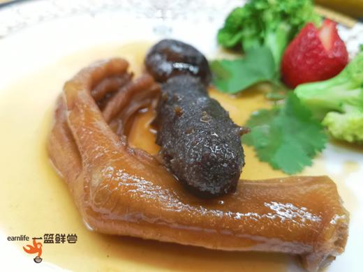 海参鹅掌 加工即食HX 商品图2