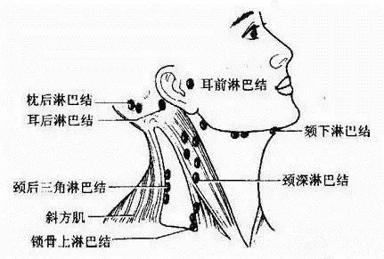 頸部淋巴