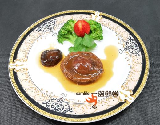 10头红烧鲍鱼 未加工 商品图0