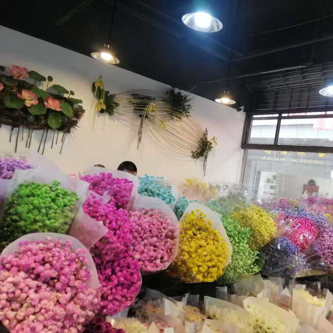 吸色满天星 配色 0.5kg