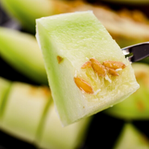 味甜似蜜 果香浓郁的 玉奶香蜜瓜 3.5-4斤