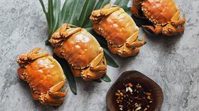 石屏大闸蟹 异龙湖 蟹肥黄足  鲜活美味