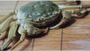 石屏大闸蟹 异龙湖 蟹肥黄足  鲜活美味 商品缩略图2