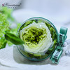 Flowerbene【花有独钟】私人订制永生花系列车挂红色 商品缩略图3