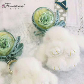 Flowerbene【花有独钟】私人订制白色貂毛兔绿色永生花