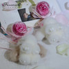 Flowerbene【花有独钟】私人订制白色貂毛兔粉色永生花 商品缩略图0
