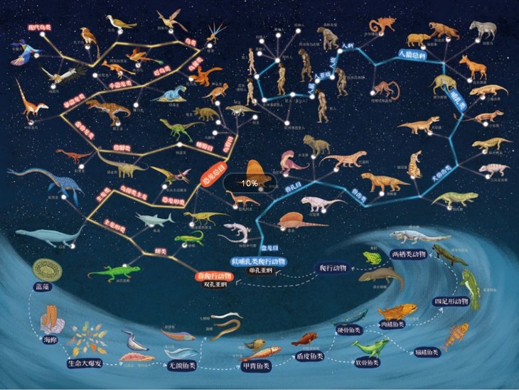 进化树图,基因进化树,进化树_大山谷图库