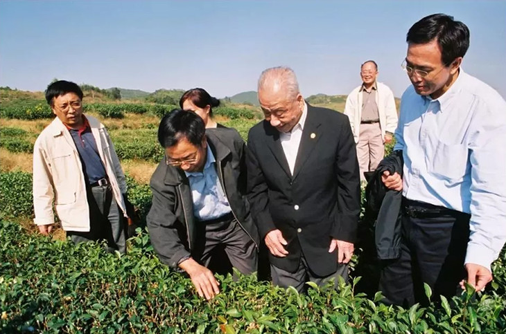 由归国华侨魏文生创立福州元泰茶业很早就投入其中.