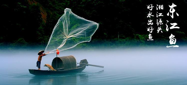 两斤装包邮 湖南特产维健生东江鱼零食鱼仔 美味齐分享示例图3