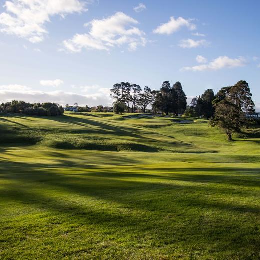 蒂蒂朗基高尔夫俱乐部 Titirangi Golf Club | 奥克兰高尔夫球场 | 新西兰高尔夫球场俱乐部 | 北岛 商品图1
