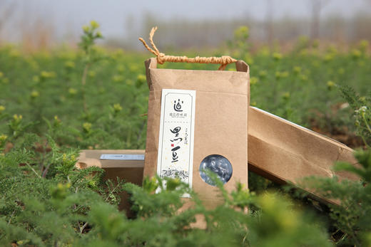 【2025新粮】黑豆 500g 商品图0