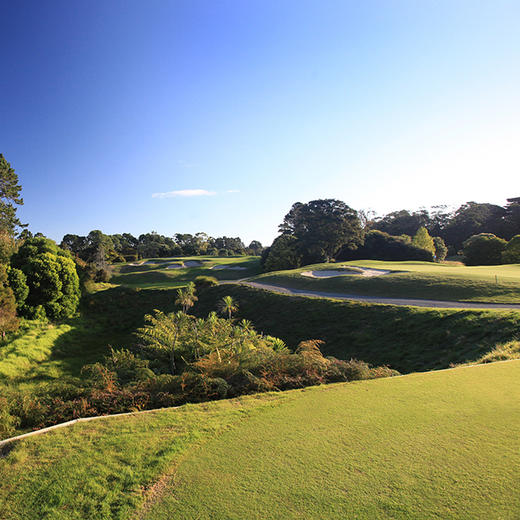 蒂蒂朗基高尔夫俱乐部 Titirangi Golf Club | 奥克兰高尔夫球场 | 新西兰高尔夫球场俱乐部 | 北岛 商品图0