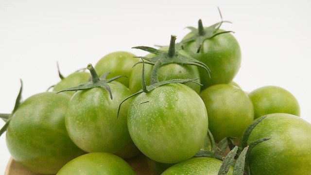 绿宝石小番茄 (500g/盒) 有机种植,自然成熟 浓浓的番茄味!