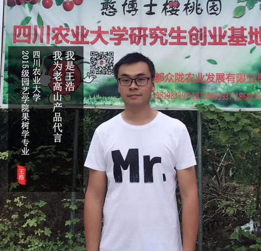 《15级—王浩代言》老高山米易露天新鲜草莓1.5kg顺丰包邮 商品图5