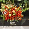 Flowerbene【花有独钟】私人订制草莓水果方型花盒 商品缩略图2