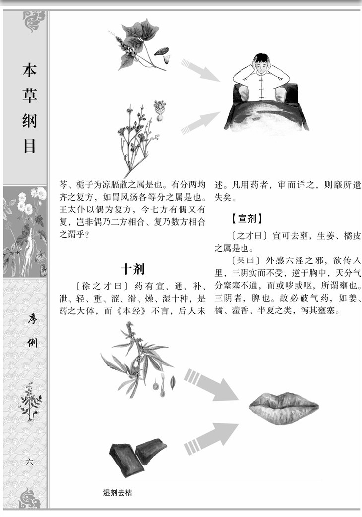 本草纲目 黑白彩图版李时珍著中医基础理论中药材药方养生图书籍