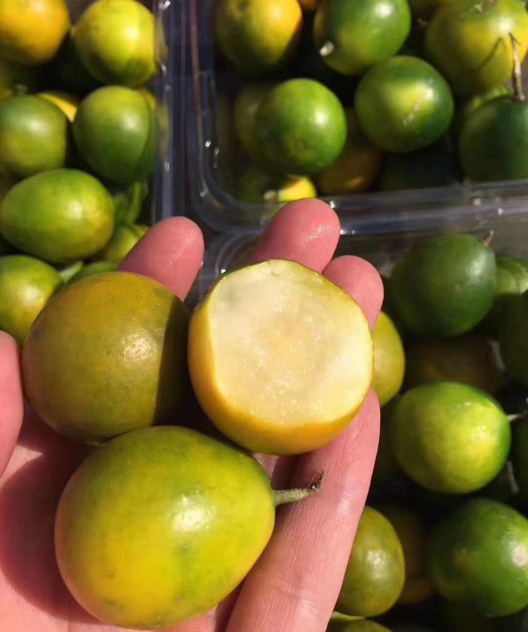 冰糖香妃柚一份约750g