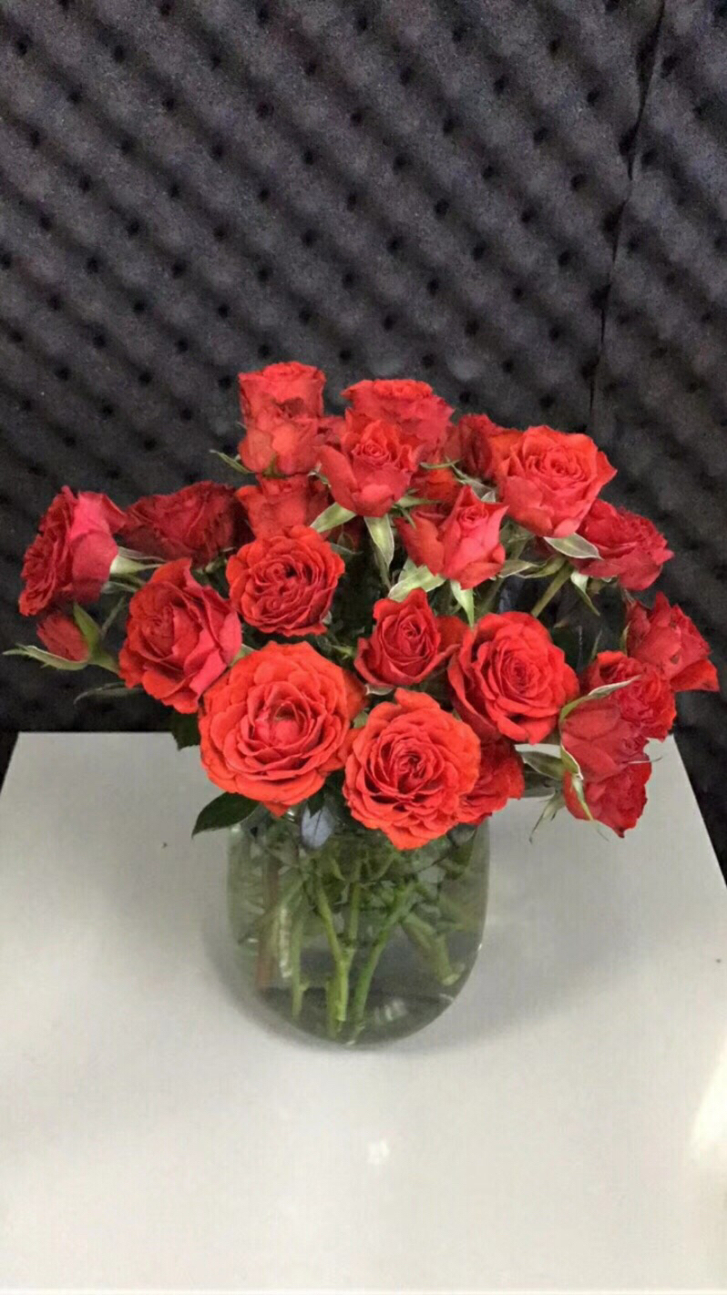 霓虹泡泡多头玫