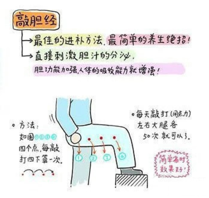 腿部有六条经络经过1、肝胆经：（内肝外胆），是解毒排毒的，大腿脂肪过