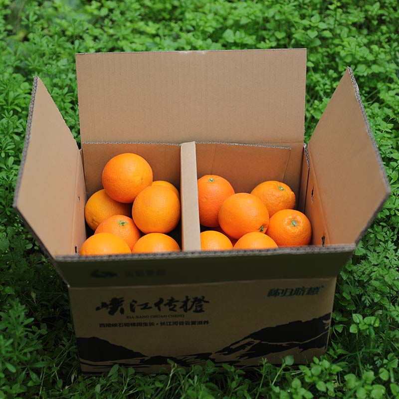 【预售春节后发货】峡江传橙 纽荷尔 普通版 小果标准9斤26-28枚装(单