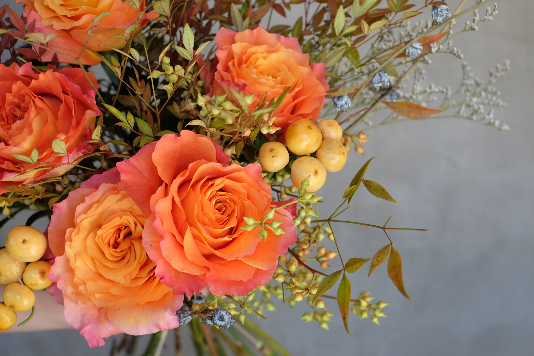 琥珀 / 厄瓜多尔玫瑰 (现货)