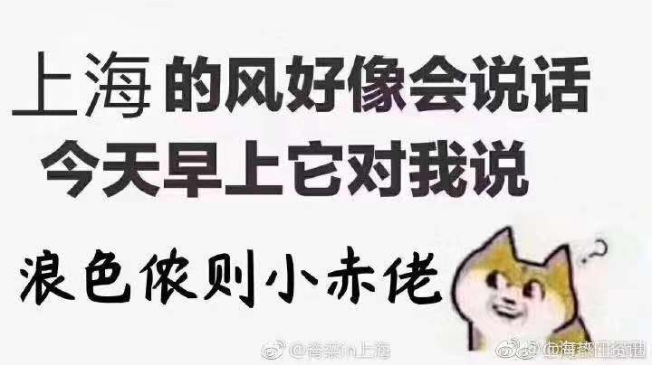 今天也要晚睡鸭