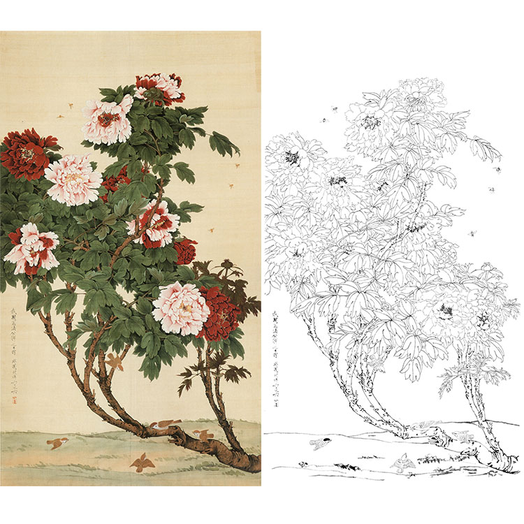于非暗白描底稿-工笔花鸟-牡丹蜂雀-yf81